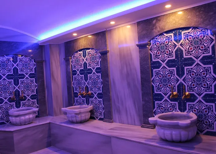 Отель Milano & Sultanahmet 3*